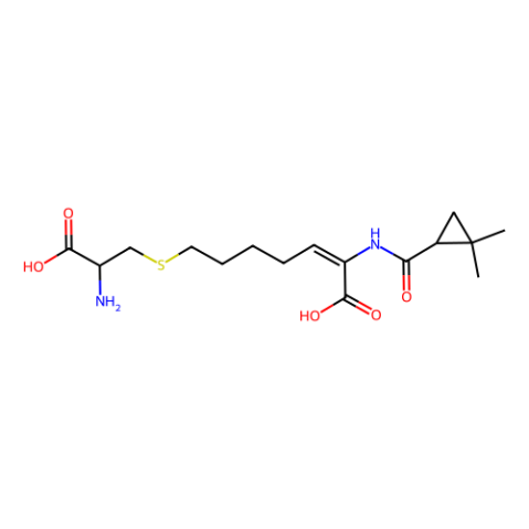 西司他丁,Cilastatin