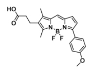 BDP TMR 羧酸,BDP TMR carboxylic acid