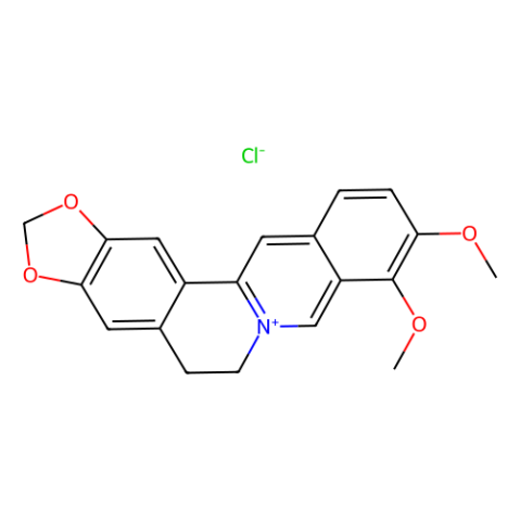 盐酸小檗碱,Berberine chloride form