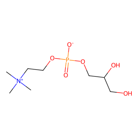 甘油磷酸胆碱,Choline Glycerophosphate