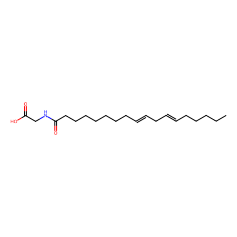 亚油酰甘氨酸,Linoleoyl glycine