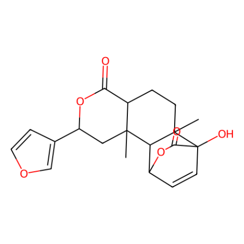 古伦宾,Columbin