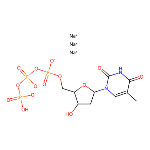 2'-脱氧胸苷-5'-三磷酸三钠，二水,2'-deoxythymidine-5'-triphosphate (dTTP), trisodium salt, dihydrate