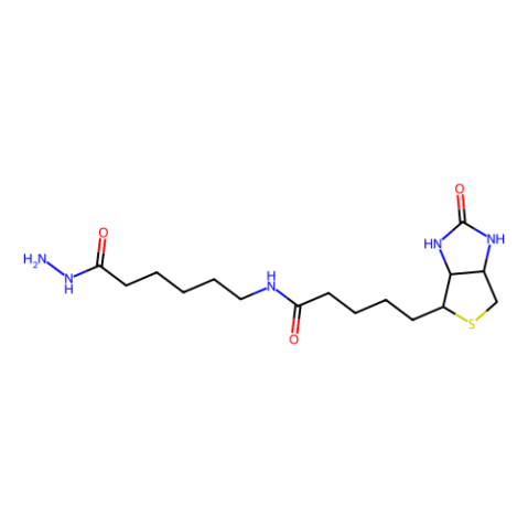 (+)-生物素酰胺基己酸肼,(+)-Biotinamidohexanoic acid hydrazide