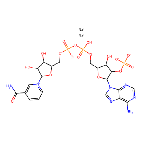 氧化型辅酶II 二钠(β-NADP-Na?),NADP, Disodium Salt