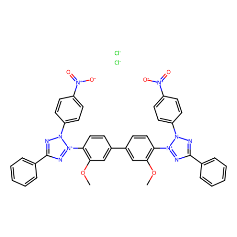 氯化硝基四氮唑藍(NBT),Nitrotetrazolium Blue chloride