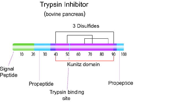 胰蛋白酶抑制剂,Trypsin Inhibitor Soybean