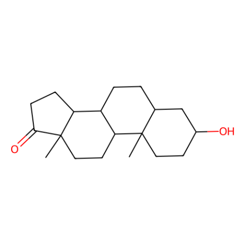 雄酮,Androsterone