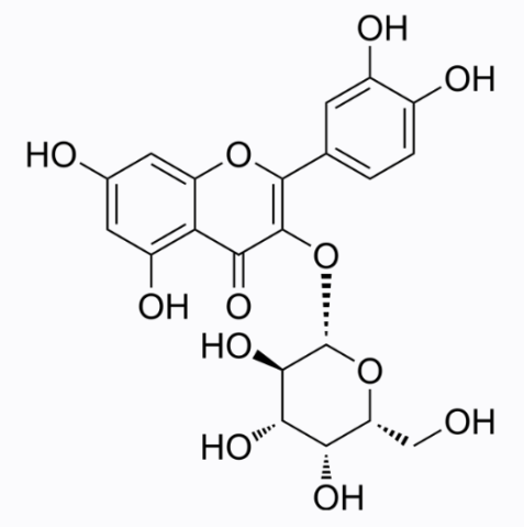 金丝桃苷,Quercetin 3-D-galactoside