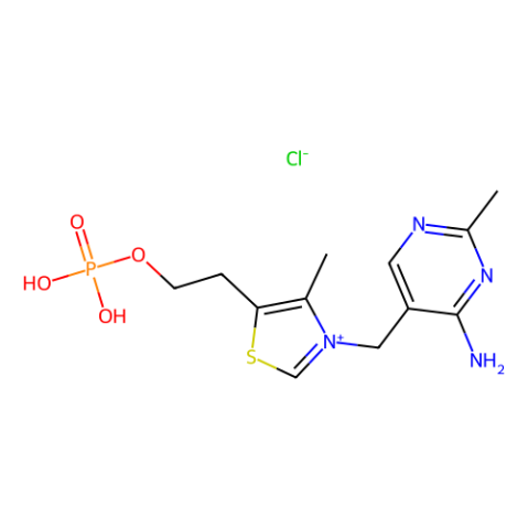 一磷酸维生素B1氯化物,Vitamin B1 Monophosphate Chloride