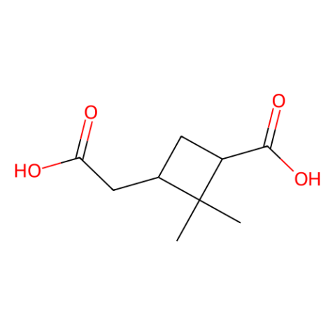 蒎酸,Pinic Acid