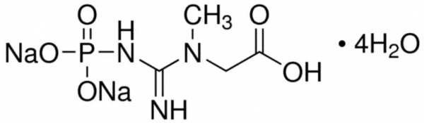 磷酸肌酸钠,四水,Creatine Phosphate Sodium Salt