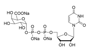 UDP-A-D-半乳糖醛酸三钠盐,UDP-GalA.3Na
