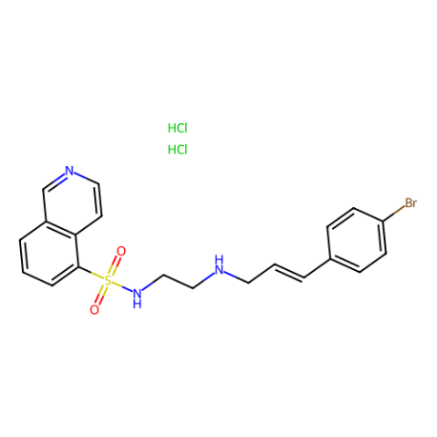 H 89 2HCl,激酶抑制劑,H 89 2HCl