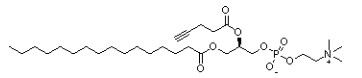 1-棕榈酰基-2-炔丙基乙酰磷脂酰胆碱,1-palmitoyl-2-(propargylacetyl)-sn-glycero-3-phosphocholine