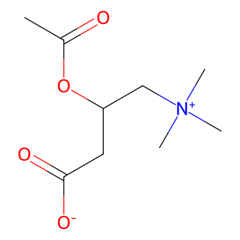 乙酰基左旋肉碱,Acetyl-L-Carnitine