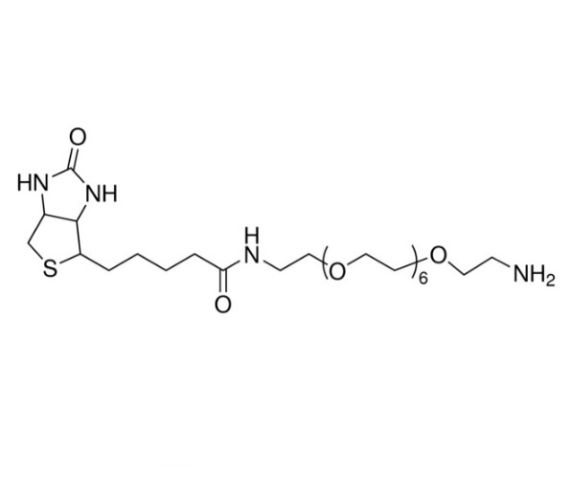 Biotin-PEG7-NH2,Biotin-PEG7-NH2