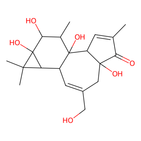 Phorbol,Phorbol