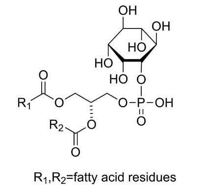 磷脂酰肌醇,L-A-PHOSPHATIDYLINOSITOL