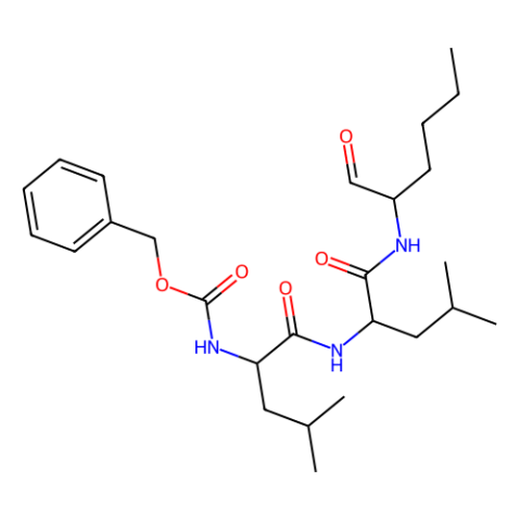 γ-分泌酶 抑制剂 I,γ–Secretase Inhibitor I