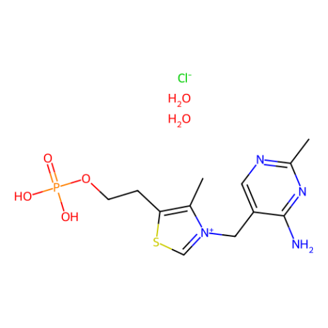 一磷酸硫胺氯化物 二水合物,Thiamine monophosphate chloride dihydrate