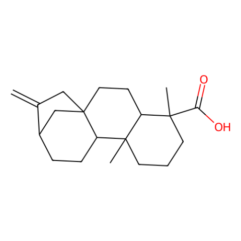 异贝壳杉烯酸,Kaurenoic acid
