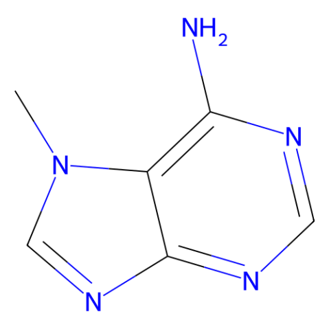 7-甲基腺嘌呤,7-Methyladenine