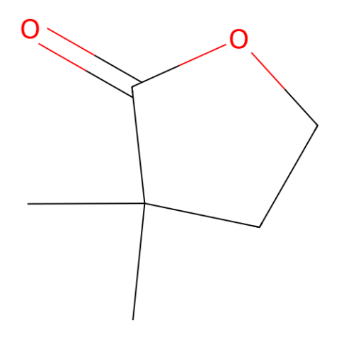 α,α-二甲基-γ-丁内酯,α,α-Dimethyl-γ-butyrolactone