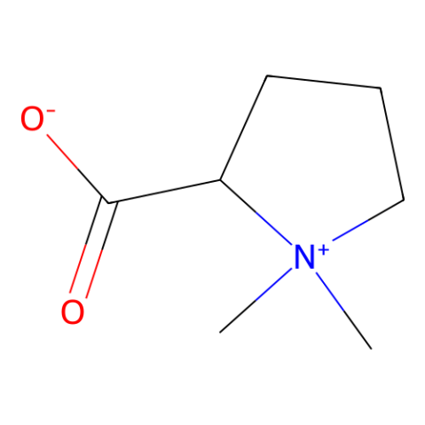 水苏碱,Stachydrine