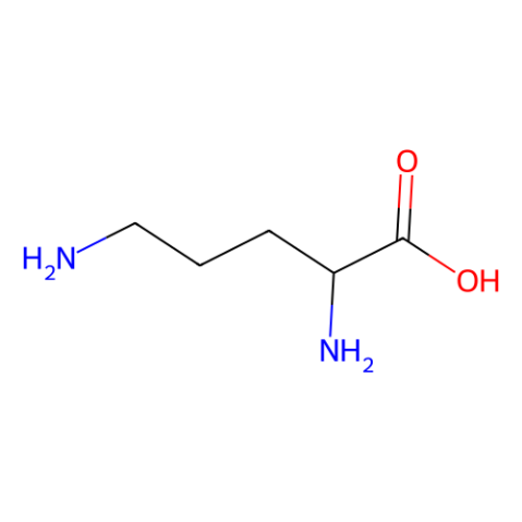 L-鸟氨酸,L-Ornithine