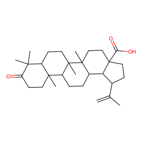 白桦脂酮酸,Betulonic Acid