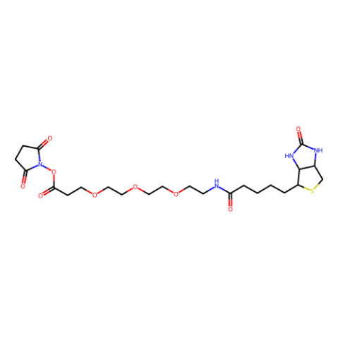 生物素-PEG3-NHS酯,Biotin-PEG3-NHS ester