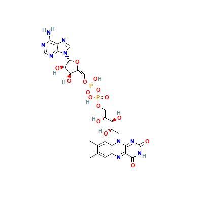 腺嘌呤黄素二核苷酸,Flavin Adenine Dinucleotide