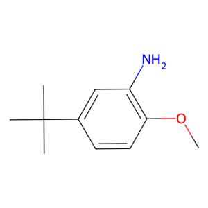 aladdin 阿拉丁 I169850 5-叔丁基-邻茴香胺 3535-88-4 97%