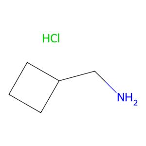 aladdin 阿拉丁 C176749 环丁基甲氨盐酸盐 5454-82-0 97%