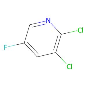 aladdin 阿拉丁 D191742 2,3-二氯-5-氟吡啶 185985-40-4 98%