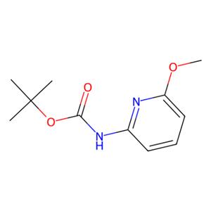 aladdin 阿拉丁 M187148 (6-甲氧基-吡啶-2-基）-氨基甲酸叔丁酯 855784-40-6 95%