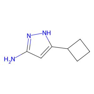 aladdin 阿拉丁 C176138 3-氨基-5-环丁基-1H-吡唑 326827-21-8 97%
