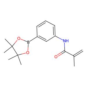 aladdin 阿拉丁 N586264 N-(3-(4,4,5,5-四甲基-1,3,2-二氧硼杂环戊烷-2-基)苯基)甲基丙烯酰胺 1056904-42-7 98%