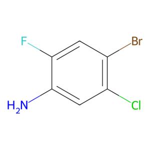 aladdin 阿拉丁 B419058 4-溴-5-氯-2-氟苯胺 116369-24-5 97%