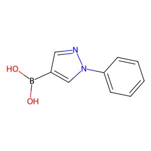 aladdin 阿拉丁 P586569 1-苯基-1H-吡唑-4-硼酸(含不等量酸酐) 1201643-70-0 98%