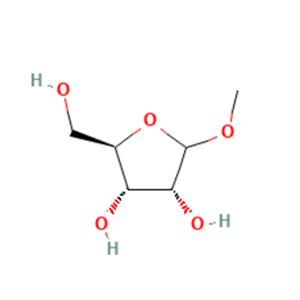 aladdin 阿拉丁 R586938 (2R,3S,4R)-2-(羟甲基)-5-甲氧基四氢呋喃-3,4-二醇(α,β混合物) 13039-63-9 95%