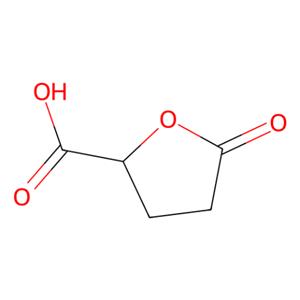 四氢-5-氧代-2-呋喃羧酸,5-Oxotetrahydrofuran-2-carboxylic acid