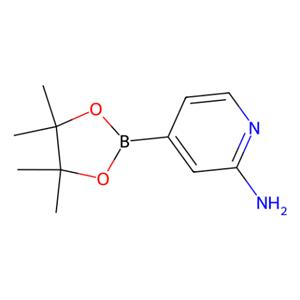 aladdin 阿拉丁 A166353 2-氨基吡啶-4-硼酸频哪醇酯 1195995-72-2 97%