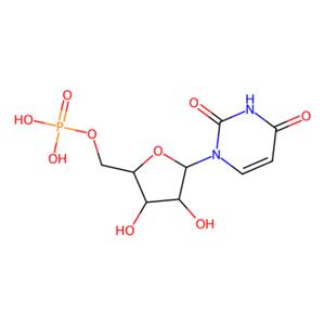 aladdin 阿拉丁 U171107 5'-尿苷酸 58-97-9 98%
