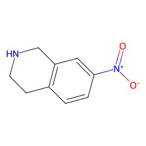 aladdin 阿拉丁 N184506 7-硝基-1,2,3,4-四氢异喹啉 42923-79-5 98%