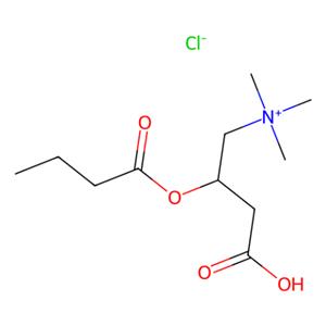 aladdin 阿拉丁 R355659 (R)-丁酰基肉碱氯化物 162067-50-7 95%
