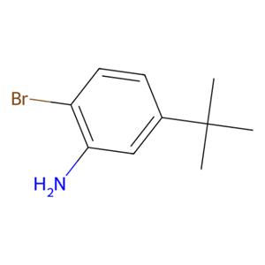 aladdin 阿拉丁 B589554 2-溴-5-(叔丁基)苯胺 58164-14-0 98%