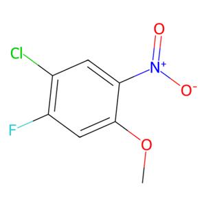aladdin 阿拉丁 C586349 1-氯-2-氟-4-甲氧基-5-硝基苯 1089280-66-9 97%