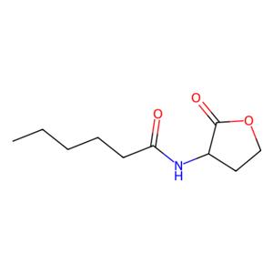 aladdin 阿拉丁 H275885 N-己酰基-L-高丝氨酸内酯 147852-83-3 ≥98%